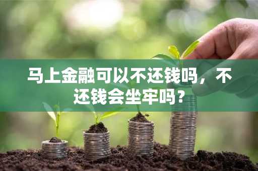 马上金融可以不还钱吗，不还钱会坐牢吗？