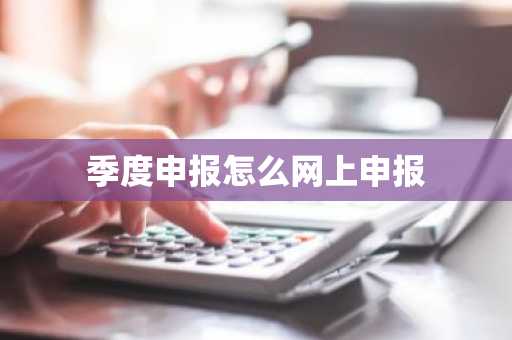 季度申报怎么网上申报