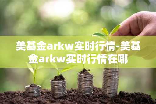 美基金arkw实时行情-美基金arkw实时行情在哪
