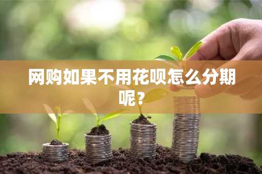 网购如果不用花呗怎么分期呢？