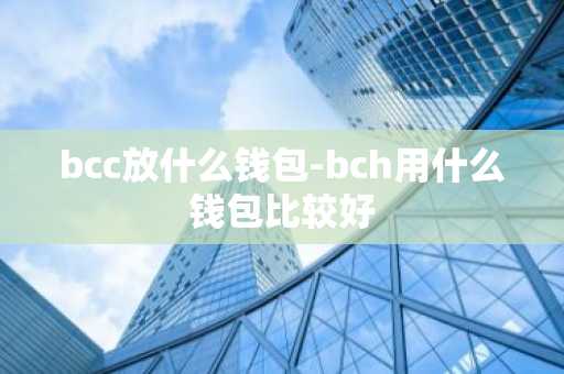 bcc放什么钱包-bch用什么钱包比较好