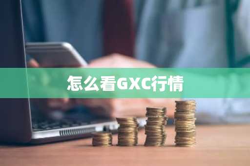 怎么看GXC行情