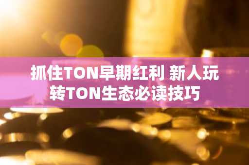 抓住TON早期红利 新人玩转TON生态必读技巧