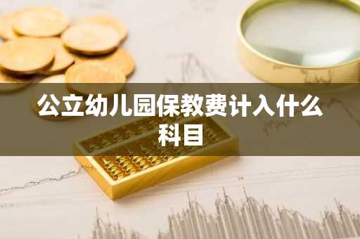 公立幼儿园保教费计入什么科目