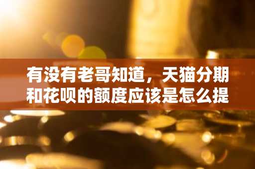 有没有老哥知道，天猫分期和花呗的额度应该是怎么提升的？