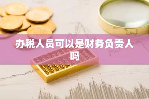 办税人员可以是财务负责人吗