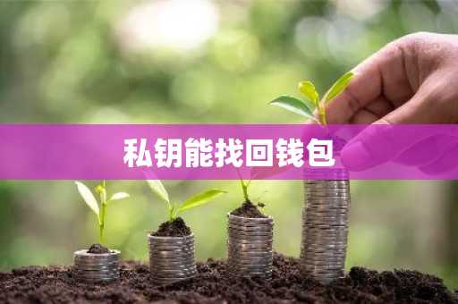 私钥能找回钱包