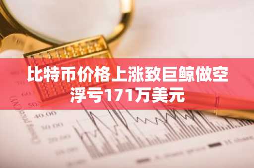 比特币价格上涨致巨鲸做空浮亏171万美元