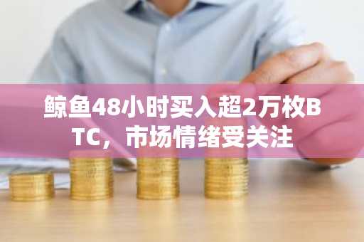 鲸鱼48小时买入超2万枚BTC，市场情绪受关注