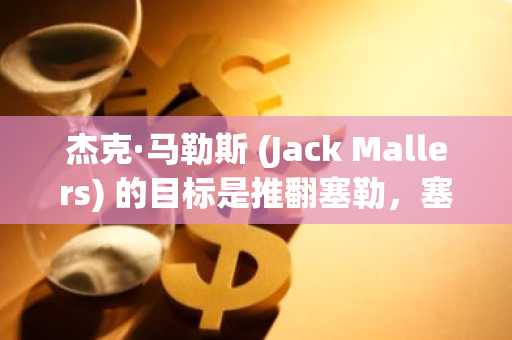 杰克·马勒斯 (Jack Mallers) 的目标是推翻塞勒，塞勒面临挑战