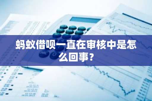 蚂蚁借呗一直在审核中是怎么回事？