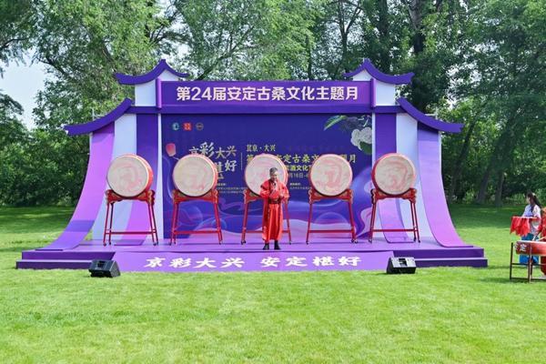 北京大兴安定镇古桑为媒 解锁乡村振兴“紫色密码”