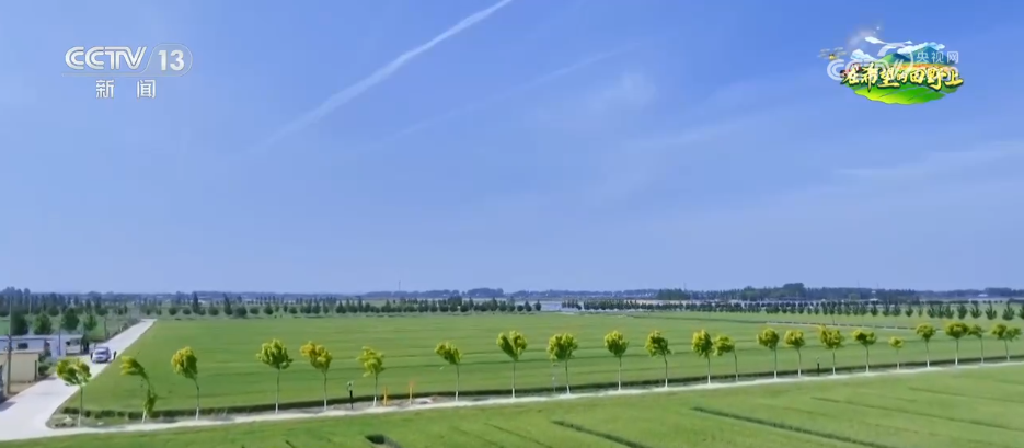 科技赋能农业生产“加速跑” 希望的田野描绘多彩丰收图景