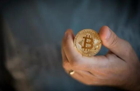 tradeogre交易所app（前十名分别都是哪几所）