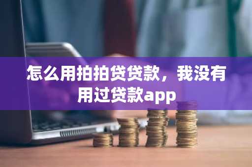 怎么用拍拍贷贷款，我没有用过贷款app