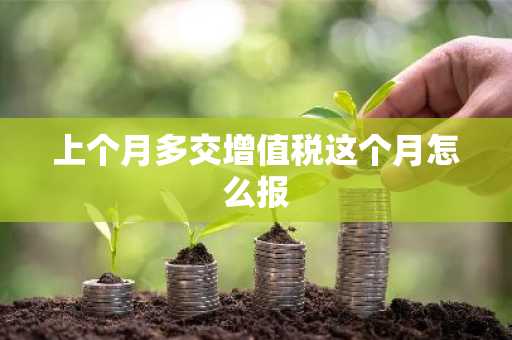 上个月多交增值税这个月怎么报