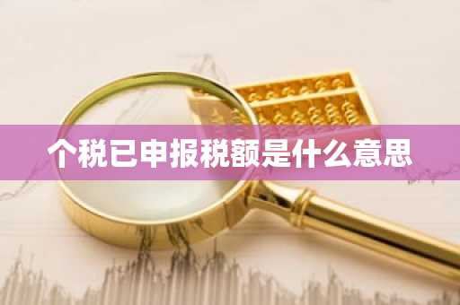 个税已申报税额是什么意思