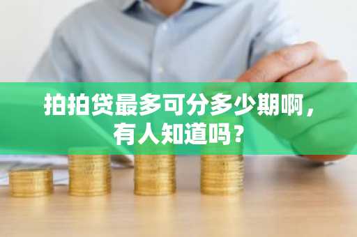 拍拍贷最多可分多少期啊，有人知道吗？