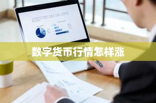 数字货币行情怎样涨