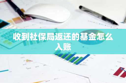 收到社保局返还的基金怎么入账