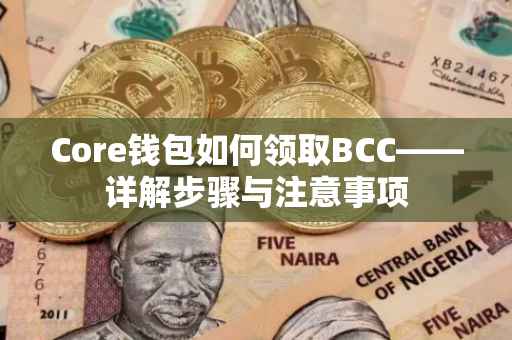 Core钱包如何领取BCC——详解步骤与注意事项