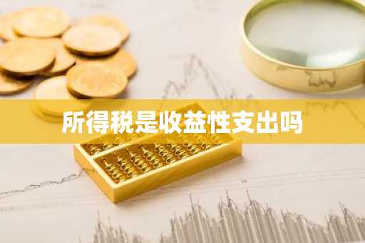 所得税是收益性支出吗