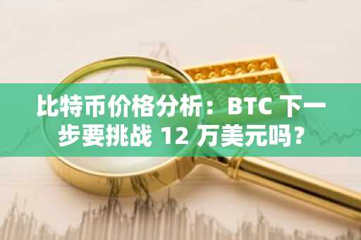 比特币价格分析：BTC 下一步要挑战 12 万美元吗？