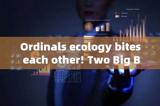 Ordinals ecology bites each other! Two Big Boss Chokes' Node Monkey 'Founder Rocktoshi to