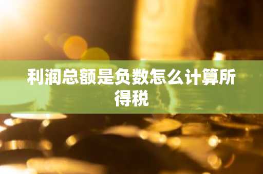 利润总额是负数怎么计算所得税
