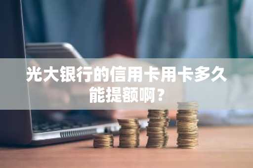光大银行的信用卡用卡多久能提额啊？