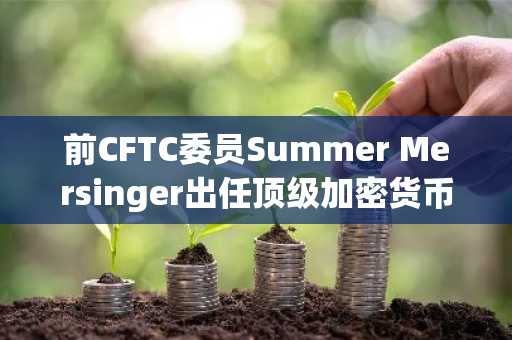 前CFTC委员Summer Mersinger出任顶级加密货币游说组织CEO