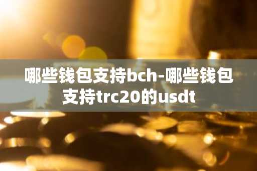 哪些钱包支持bch-哪些钱包支持trc20的usdt