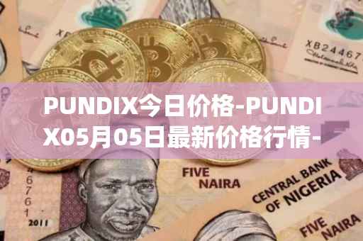 PUNDIX今日价格-PUNDIX05月05日最新价格行情-pundi-x-2最新走势消息