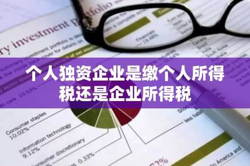 个人独资企业是缴个人所得税还是企业所得税