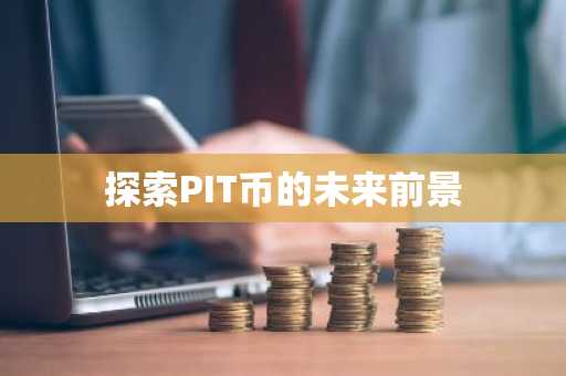 探索PIT币的未来前景
