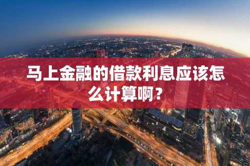 马上金融的借款利息应该怎么计算啊？