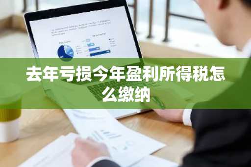 去年亏损今年盈利所得税怎么缴纳