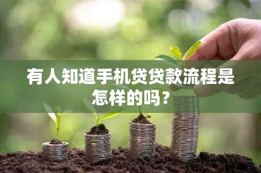 有人知道手机贷贷款流程是怎样的吗？