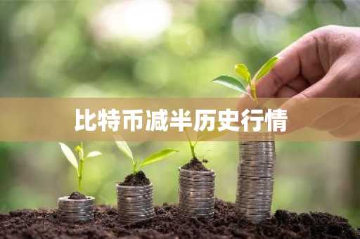 比特币减半历史行情