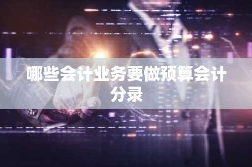 哪些会计业务要做预算会计分录