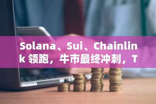 Solana、Sui、Chainlink 领跑，牛市最终冲刺，Total3 有望突破