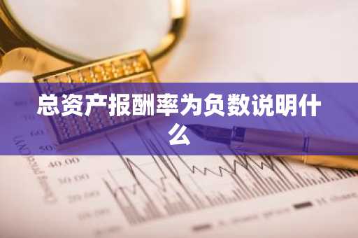 总资产报酬率为负数说明什么
