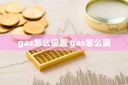 gas怎么设置 gas怎么调