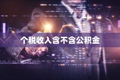 个税收入含不含公积金