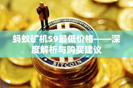 蚂蚁矿机S9最低价格——深度解析与购买建议