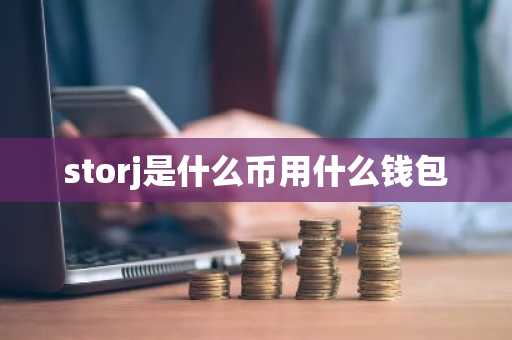 storj是什么币用什么钱包