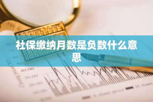 社保缴纳月数是负数什么意思
