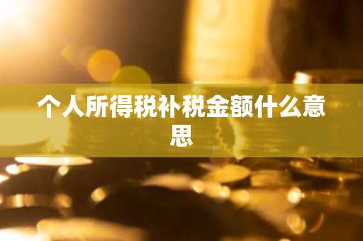 个人所得税补税金额什么意思