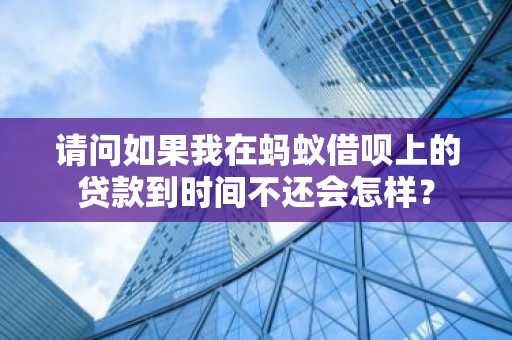 请问如果我在蚂蚁借呗上的贷款到时间不还会怎样？