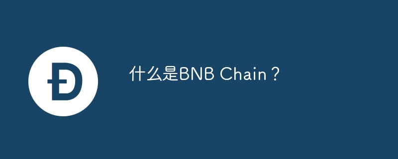 BNB Chain揭秘：Web3生态系统的核心